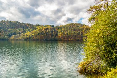Ağaçlı ve yeşil yapraklı güzel sonbahar manzarası