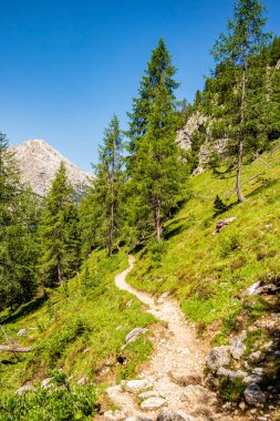 Misurina Gölü yakınlarındaki dağların manzarası, Belluno - İtalya