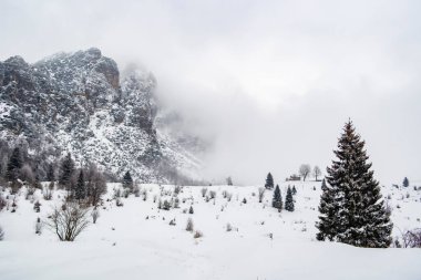 Karlı kış dağ manzarası