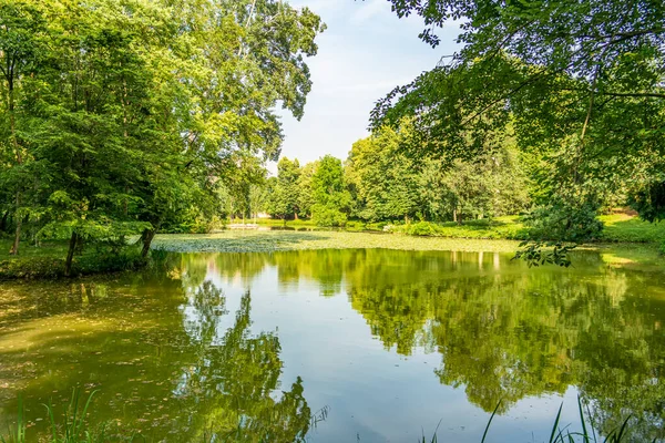 Blick Auf Den See Der Villa Revedin Bolasco Juni 2019 — Stockfoto