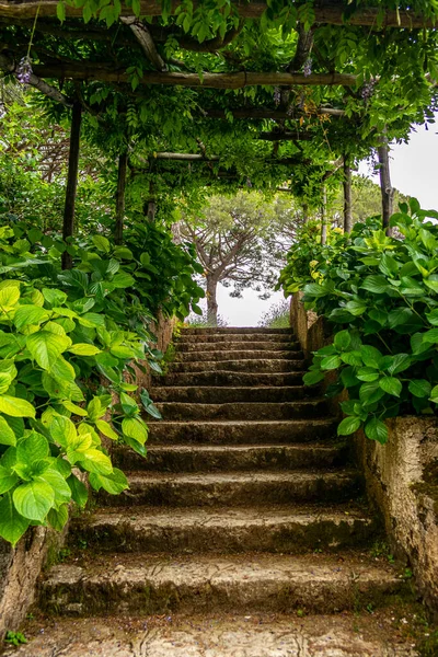 Trappen Het Park — Stockfoto