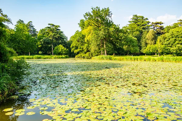 Schöne Sommerlandschaft Mit Teich Und See — Stockfoto