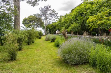 Güzel botanik fotoğrafı, doğal duvar kağıdı.