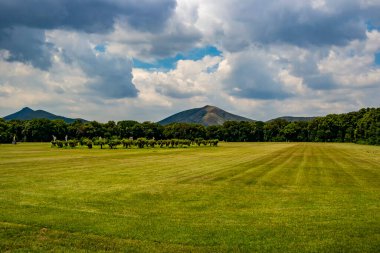 yeşil tarla ve mavi gökyüzü