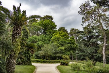 Caserta Kraliyet Sarayı 'nın ağaçlarıyla park et. Haziran 2018 Caserta, Campania - İtalya