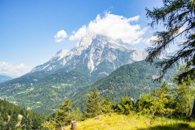 Yazın güzel bir dağ manzarası