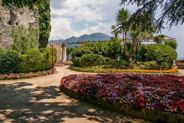 Güzel botanik fotoğrafı, doğal duvar kağıdı.