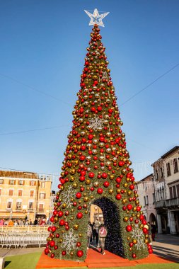 Süslemeleri ve çelenkleri olan Noel ağacı