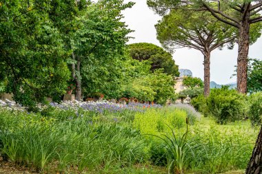 Parkın güzel manzarası