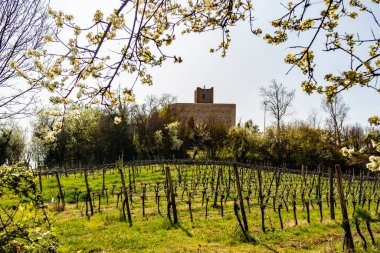 Montecchio Maggiore kalesinin manzarası, Vicenza - İtalya