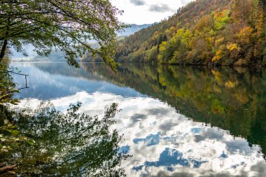 Nehir ve ormanlı güzel bir manzara.