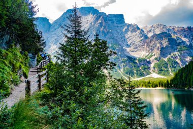 Güzel göl manzarası