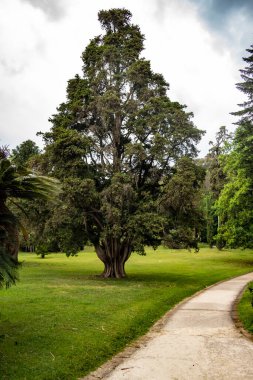 Parkın güzel manzarası