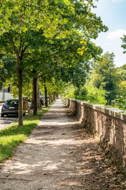 Parkın güzel manzarası