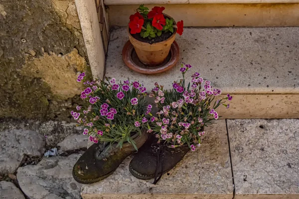 Blick Auf Blumen Der Altstadt Von Caserta Kampanien Italien — Stockfoto