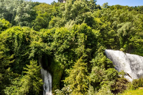 Cascada Bosque — Foto de Stock