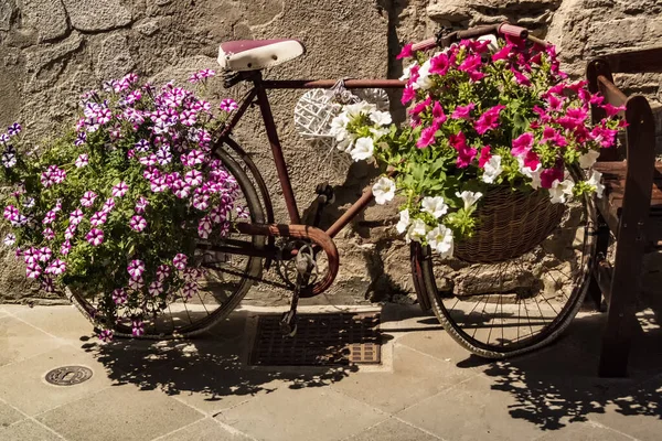 Vecchia Bici Ornamentale Con Fiori — Foto Stock