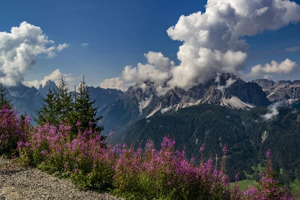 Hermoso Paisaje Con Una Montaña Fondo —  Fotos de Stock