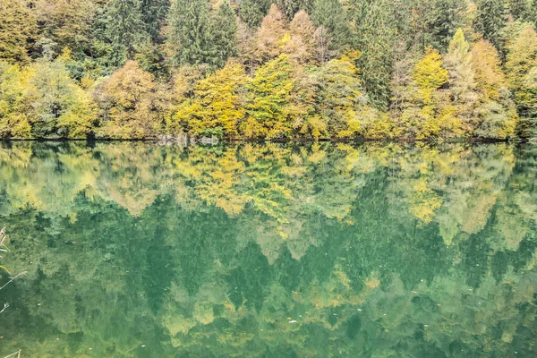 Beautiful Autumn Landscape Trees Forest — Stock Photo, Image