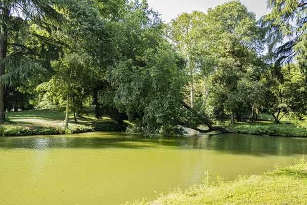 Schöne Aussicht Auf Den Park — Stockfoto