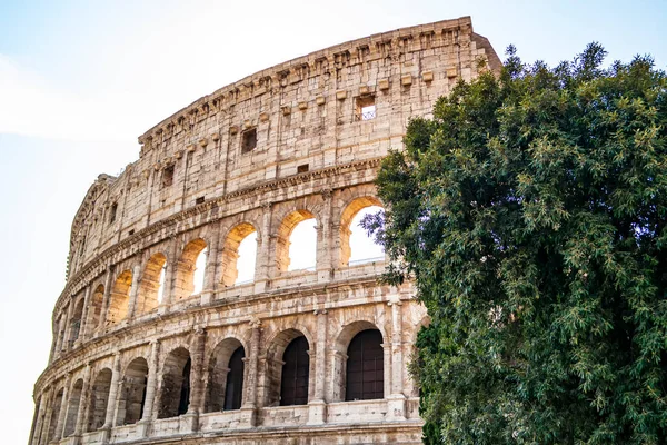Vista Sobre Coliseu Roma Lazio Itália — Fotografia de Stock