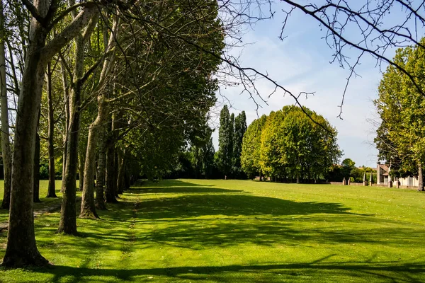 Zielony Park Mieście — Zdjęcie stockowe