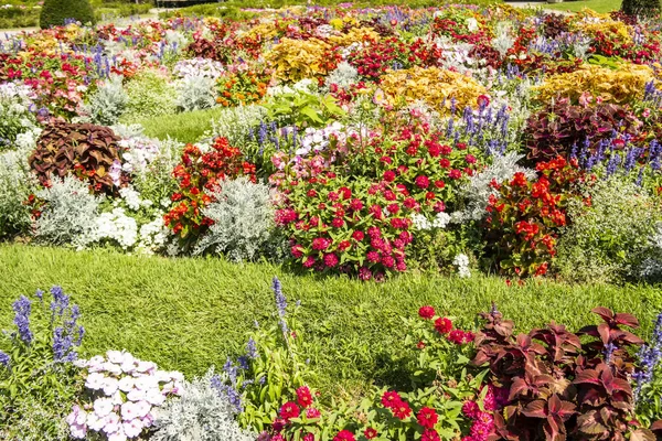 Piękny Ogród Botaniczny Kwiatami Roślinami — Zdjęcie stockowe