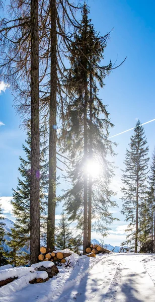 Beautiful Winter Landscape Snow Covered Trees — Stock Photo, Image