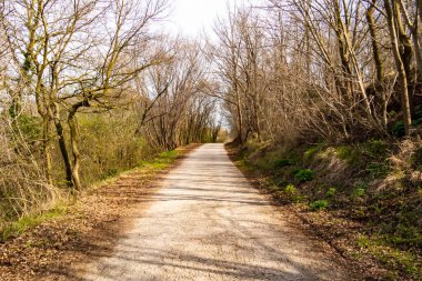 Dağlarda kirli bir patika