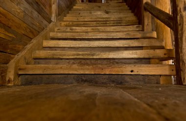 Ormanda ahşap merdiven