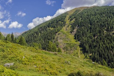 Dağları ve mavi gökyüzü olan güzel bir manzara.