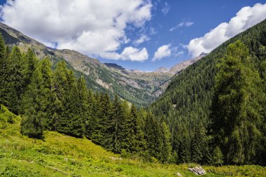 Dağların güzel manzarası