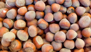 Bir yığın fındık yakın