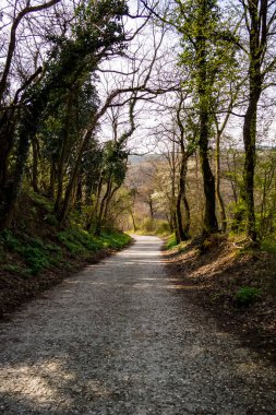 Tepelerde baharın kirli yolu