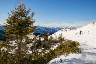 Dağların güzel manzarası