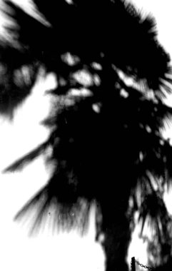 Soyut arkaplan. monokrom dokusu. siyah ve beyaz desenli