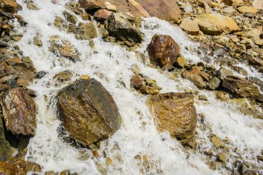 Parktaki dağ nehri deresi.