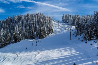 Asiago dağlarında karlı ağaçlar, Vicenza - İtalya
