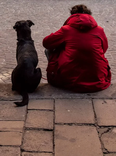 Master Chaqueta Roja Perro Negro — Foto de Stock