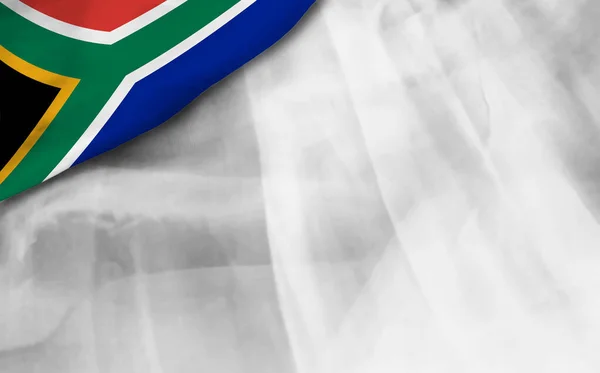 Südafrikanische Flagge Auf Grauem Hintergrund — Stockfoto