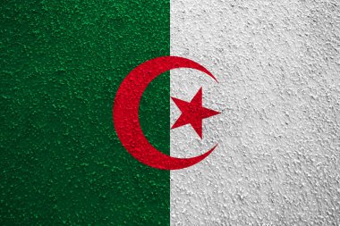 Kırışık duvarda Cezayir bayrağı