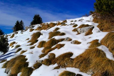 Karla kaplı kum tepeleri