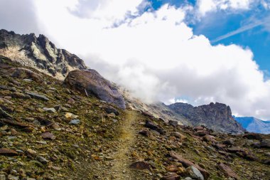 Yüksek dağ manzarası. Monte Pejo, Trentino Alto Adige - İtalya