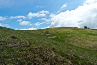 yeşil tepeler ve çimenler 