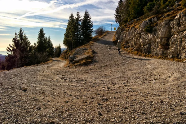 Hermoso Paisaje Con Camino Montaña Las Montañas —  Fotos de Stock