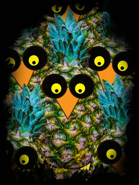 Siyah arka planda bir kuşu olan baykuş