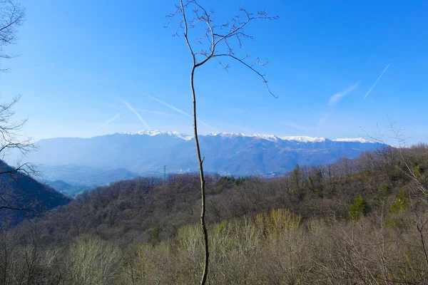 Dağları ve mavi gökyüzü olan güzel bir manzara.