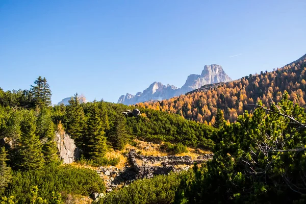 Άποψη Των Βουνών Στο San Martino Castrozza Τρέντο Ιταλία — Φωτογραφία Αρχείου