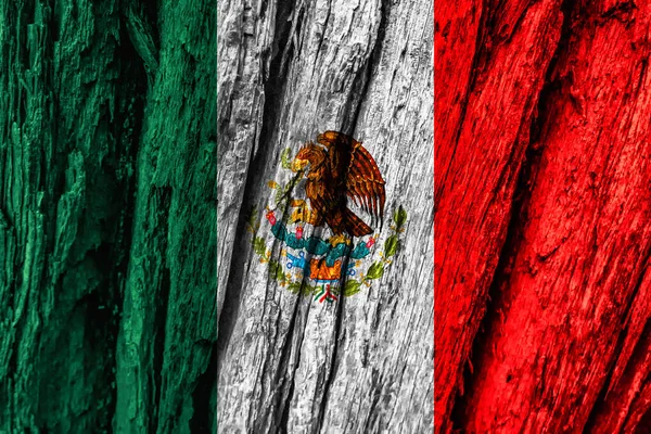 Mexikanische Flagge Auf Baumrinde — Stockfoto