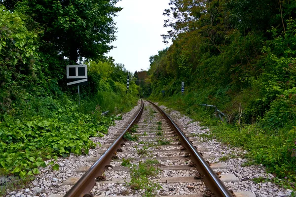 Bahngleise Mitten Der Vegetation — Stockfoto